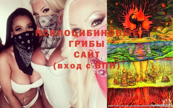 apvp Абаза