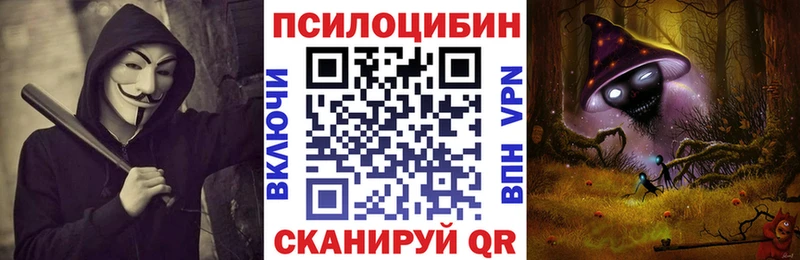 Галлюциногенные грибы Cubensis  Пойковский 